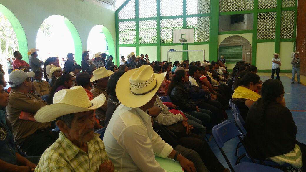 PSDcuicatlan's tweet photo. En Concepción Pápalo nuestro Candidato a gobernador @MAPEMO #PiensaLibre #NoMásDeLoMismo #QueNadieQuedeFuera https://t.co/m0BxG5Zwul