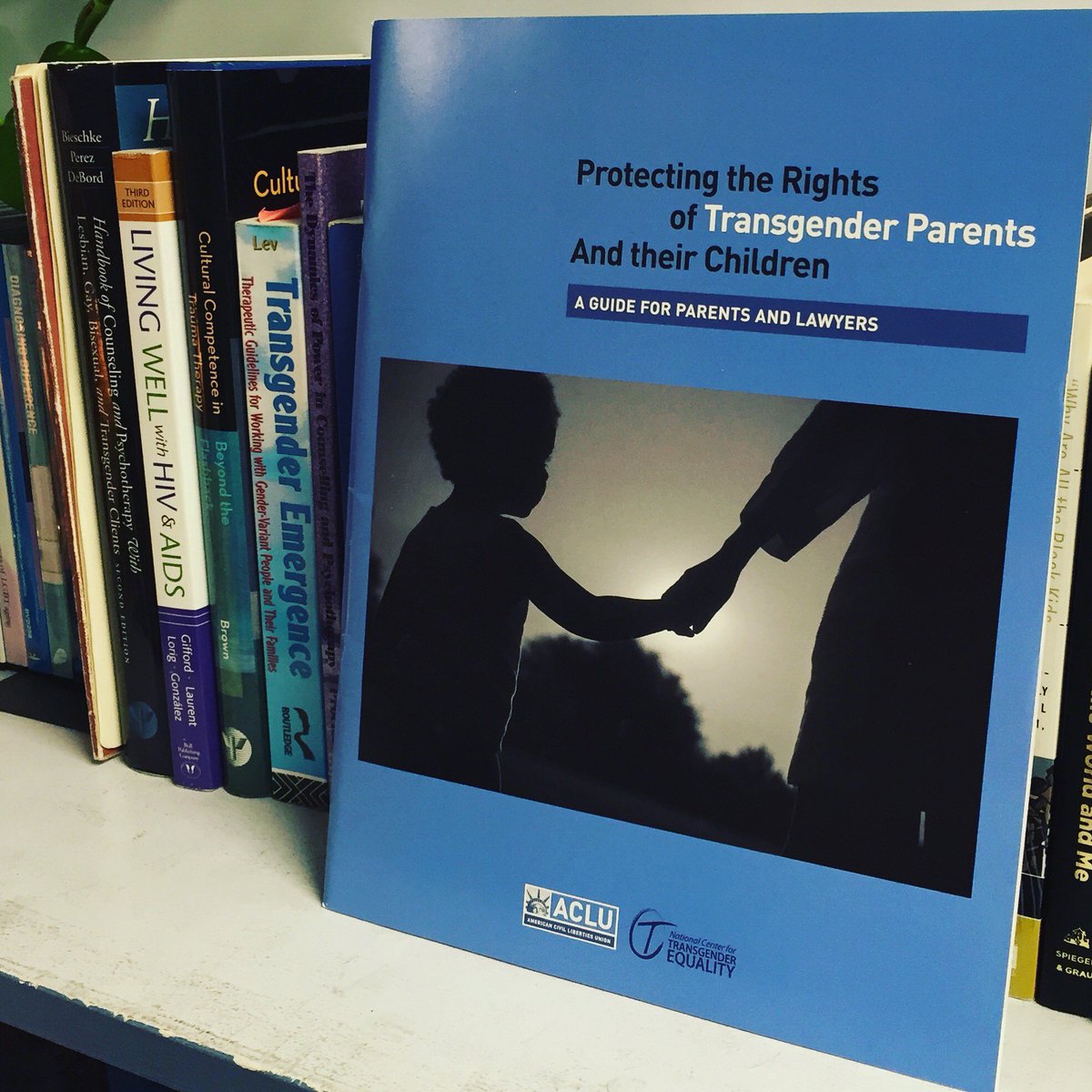 PacificPride's tweet photo. New resource alert! We <3 the ACLU and the National Center for Transgender Equality! #onlyPPF #NCTE #ACLU https://t.co/BUY233zcUS
