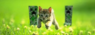Kaio220_'s tweet photo. Foge Gatinho https://t.co/fwUx3P0lPi