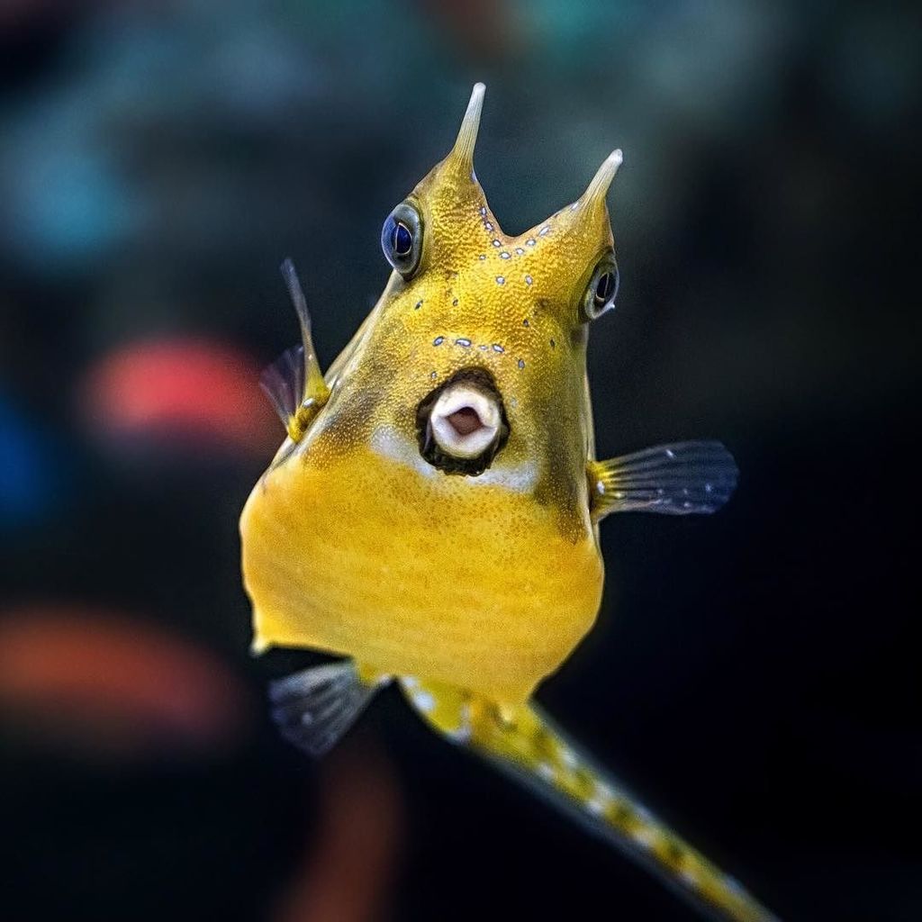 AquariumPacific's tweet photo. ♫ Just want your extra time and your… 💋 .. #aquariummember #byrobin https://t.co/ncQnqiZjQl https://t.co/GOfIRzcx5U