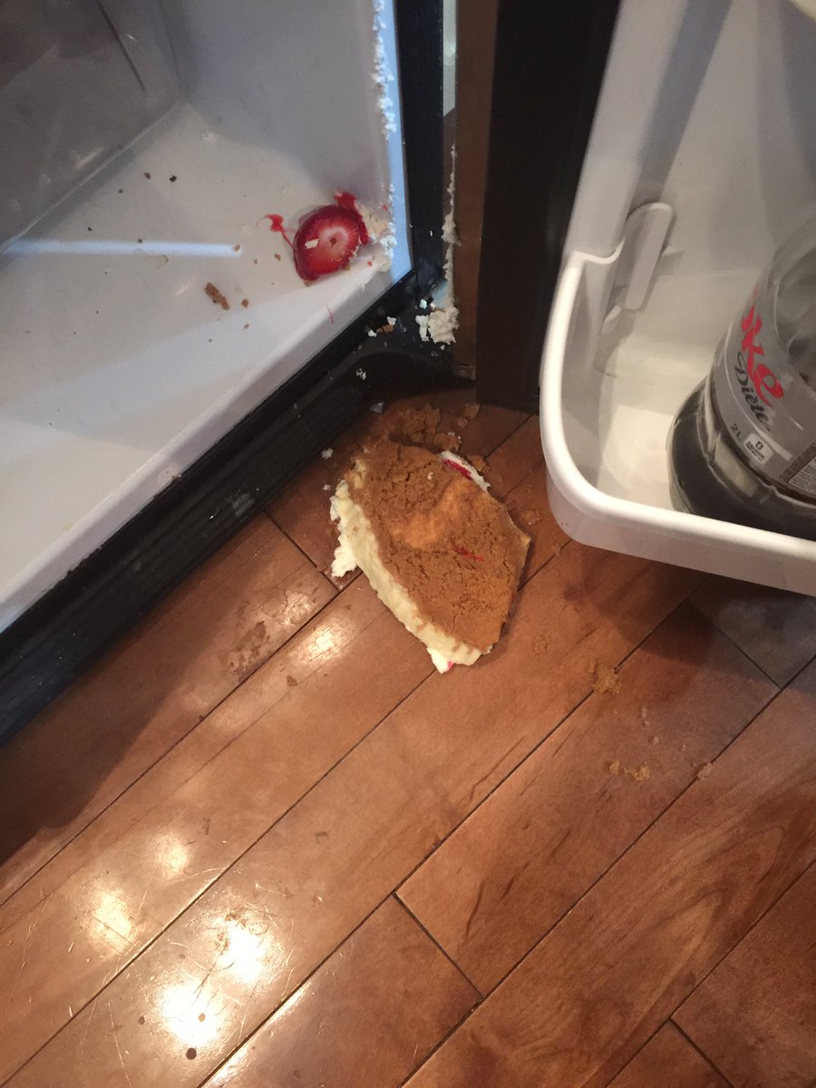 FiercelyNormal's tweet photo. Is there a sadder sight in all the world? #RIPCheesecake https://t.co/kctqiKco0k