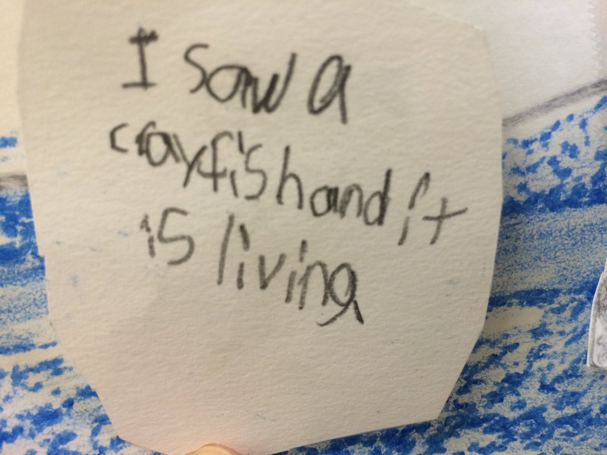 DevonshireES's tweet photo. How do field trips help us learn? Look at these living and non living things students experienced with their senses. https://t.co/02BzzXaNg9