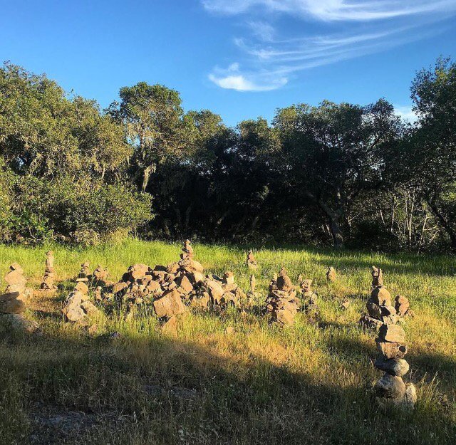 Exploring Skyline Park, one of Napa Valley's hidden gems. #ournapa 📷: @NapaValaree