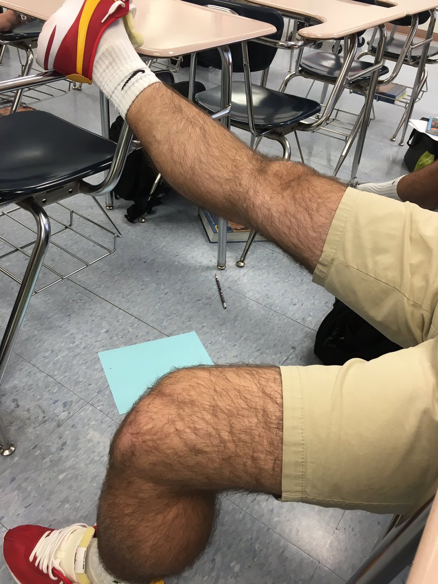 tyler_lafaver's tweet photo. ‼️⚠️ 750 retweets for @DomEnrico to shave his gorilla legs. We can do this ⚠️‼️ https://t.co/D1ONg7SObT