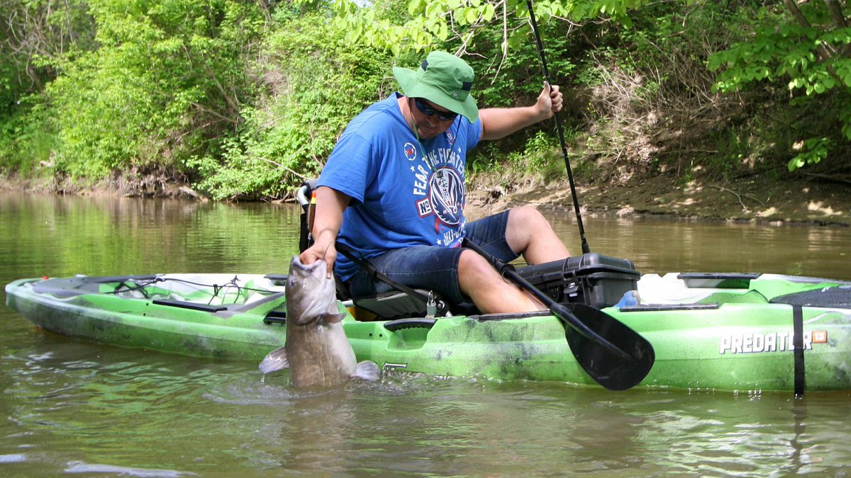 Top_FishingGear's tweet photo. Must-do spring adventure: Pulling giant channel cats out of small streams https://t.co/l5zyp0UdaZ #fishing https://t.co/APqftimtnh