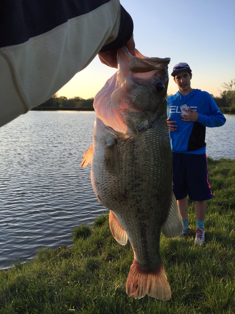 Dylan_Kilgore23's tweet photo. She was pretty fat https://t.co/A3wZ9DJ96p