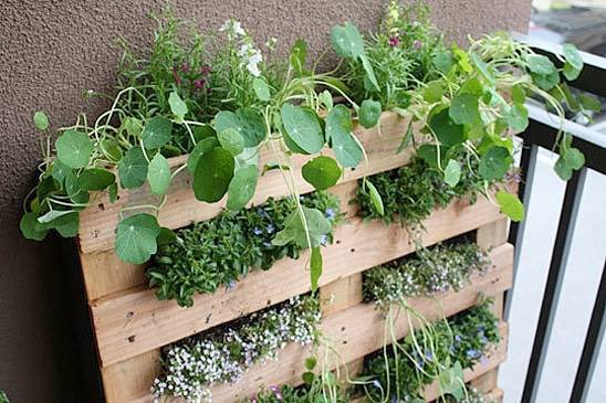 LaRemiseCoop's tweet photo. Bonne nouvelle! La conférence sur le jardinage urbain de demain sera enregistrée et disponible sur laremise.ca https://t.co/ciyQgVNNjO
