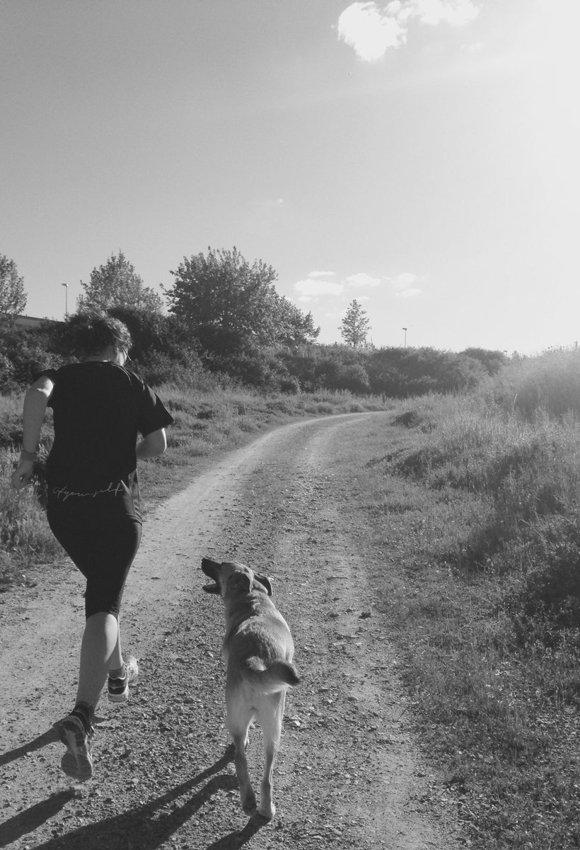 beniagundez's tweet photo. @ownerofyourself @luciatejadoc entrenamos? #corredoG #cava #cargandoVitD https://t.co/OKcspIuSeF