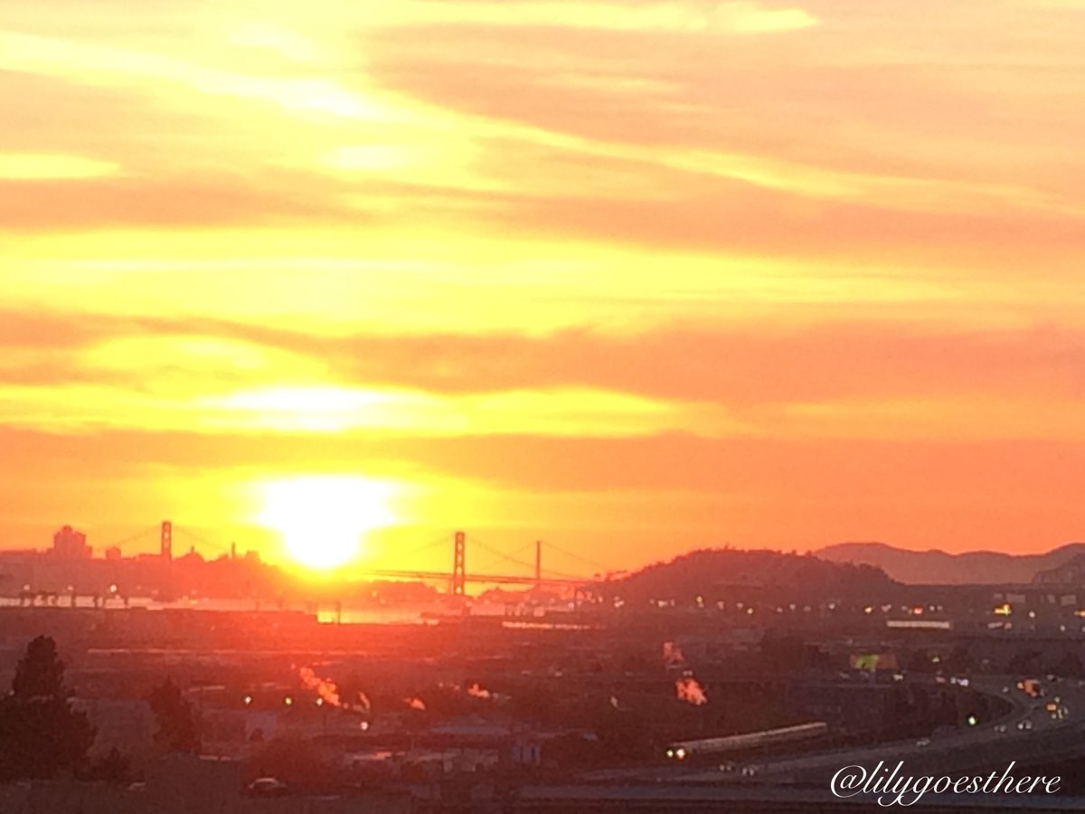 lilygoesthere's tweet photo. Hello #Twitter! #myfirstTweet
View from my balcony #doublebridges #baybridge #goldengatebridge #oakland https://t.co/i0NyM0v8Bd