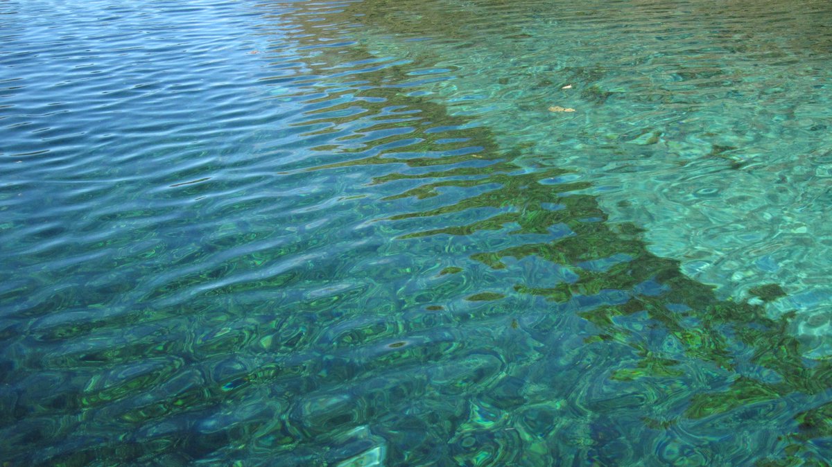 OhridSOS tweet media