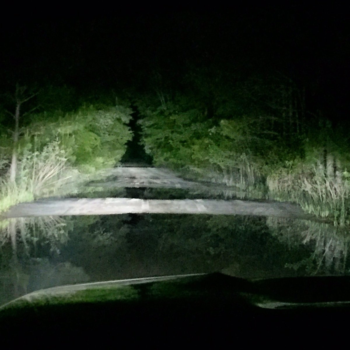 trentjacobs's tweet photo. Couldn't sleep, so I'm getting back to my roots #RiverLife #Backroads #BrantleyCounty #Georgia https://t.co/HgQZfwsKQZ
