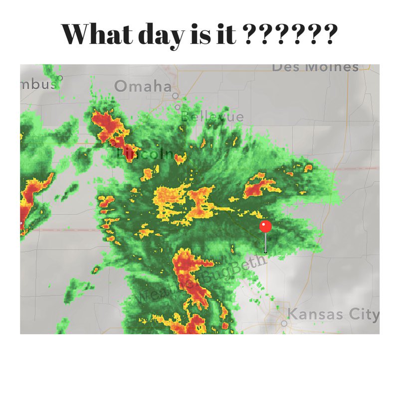 ezbeesolutions's tweet image. Camel if you got it !! @kmbc @NevilleKMBC @McDermedKMBC   #WeatherBugBeth