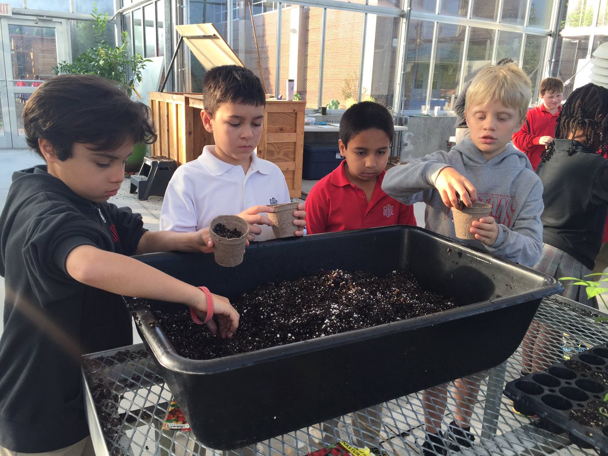 CrystalLRushGAC's tweet photo. Learning about seeds and plants. Thanks Mr. Lee! #gacelem #gacschoolgardens #gacrush2 https://t.co/1LBO8tbRzI