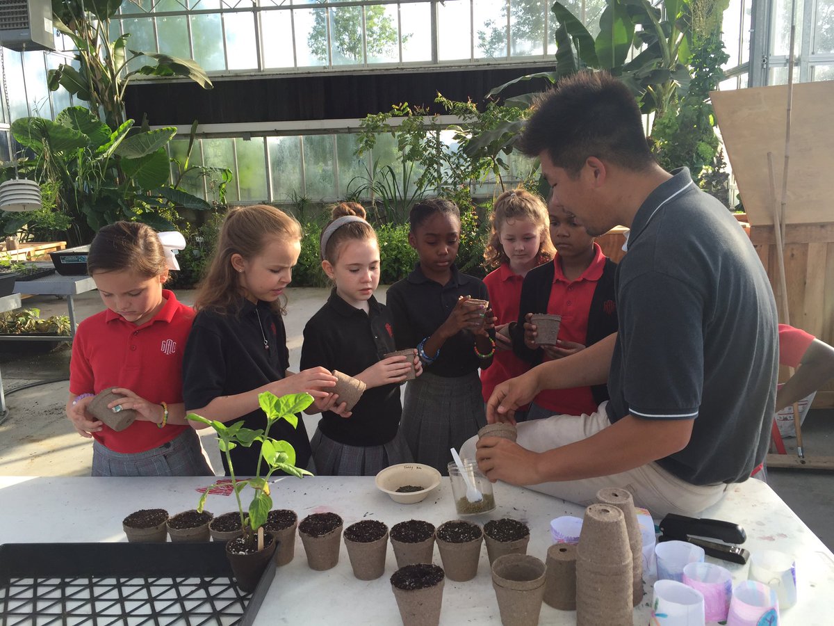 CrystalLRushGAC's tweet photo. Learning about seeds and plants. Thanks Mr. Lee! #gacelem #gacschoolgardens #gacrush2 https://t.co/1LBO8tbRzI