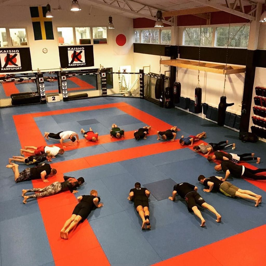 Mats Nilsson (MatsNilssonMMA) Twitter