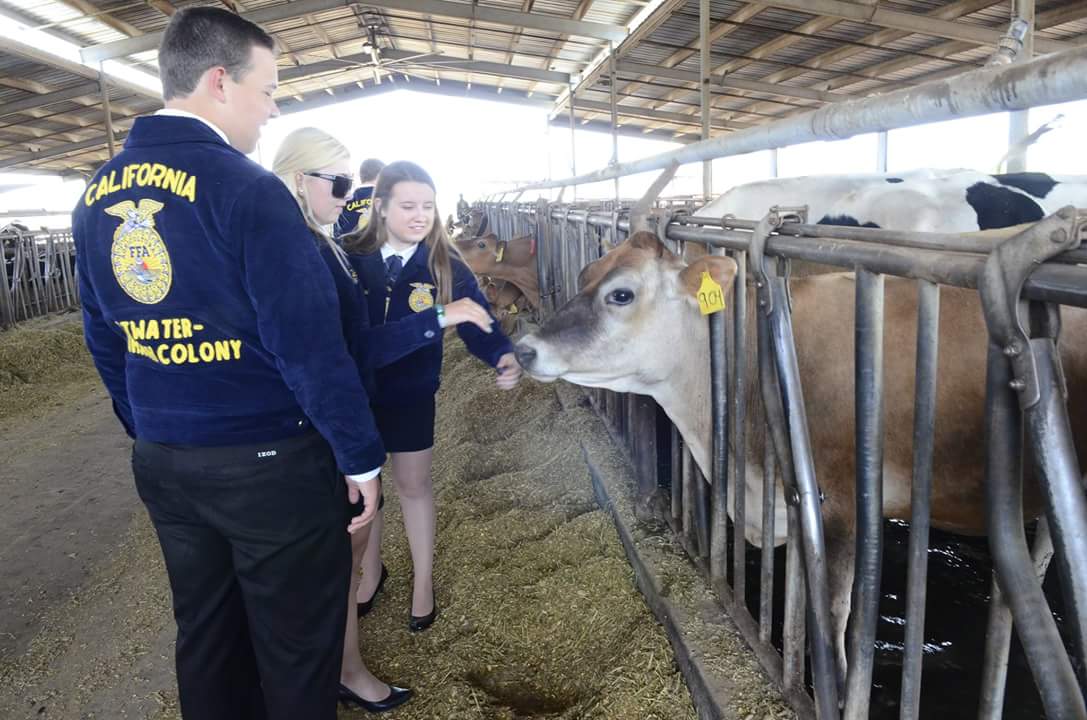 gvffa's tweet photo. Shout out to Buhach Colony FFA and Fresno State University! #ElectrifyFFA https://t.co/39hKTZ1jbz
