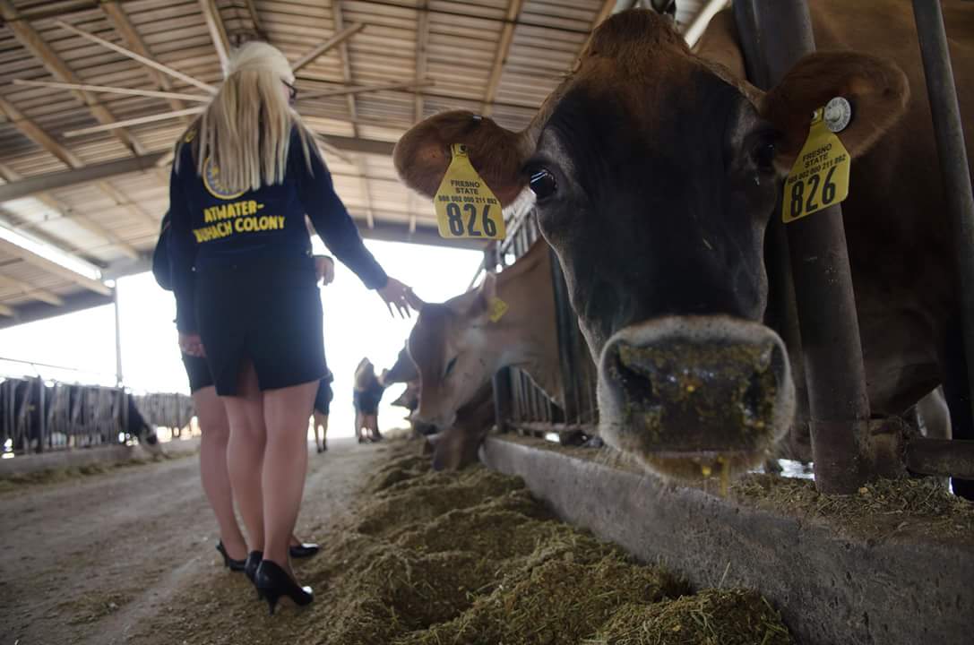 gvffa's tweet photo. Shout out to Buhach Colony FFA and Fresno State University! #ElectrifyFFA https://t.co/39hKTZ1jbz