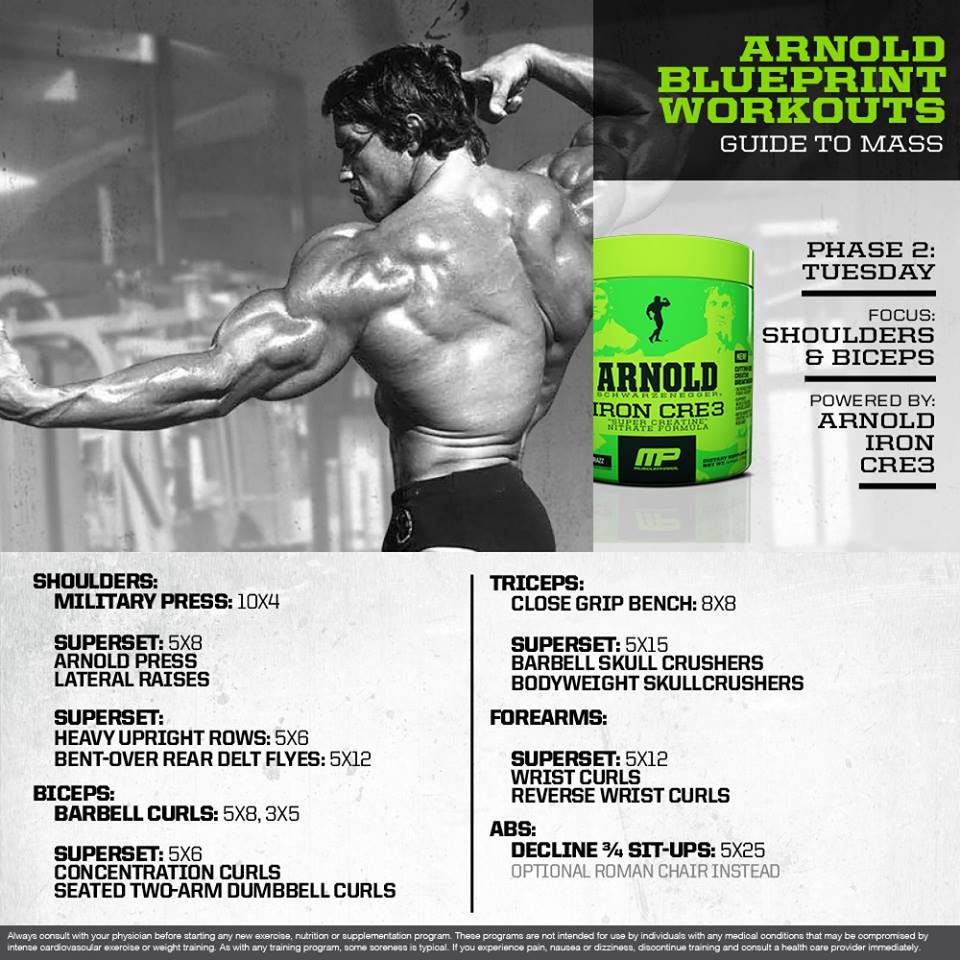 Arnold_Series's tweet photo. Shoulders and Biceps with Arnold @Schwarzenegger https://t.co/IKPSMFe485