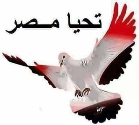 MMage12's tweet image. صباح الفول على سيت الكول مصر اوم الدونيا