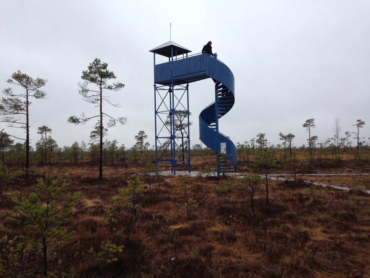movemakerslab's tweet photo. A beautiful place to reflect &amp; be silent. The Soomaa National Park, Estonia, https://t.co/N92vN8Ls1z https://t.co/KaczpqOGth