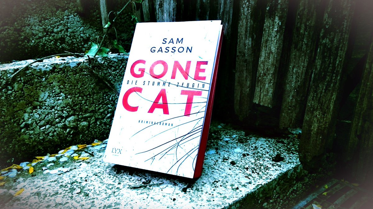 Caastorb's tweet photo. Netter #Debütroman mit sehr altklugem 11-Jährigen & seiner Katze als Detektive. Zügig lesbar. #Gasson #GoneCat https://t.co/nDqqckfzE0