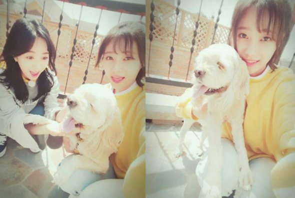 jessica__jung18's tweet photo. #촬영중만난멍멍이 #이름이하루 #하루야안녕
@kwonmina__aoa https://t.co/BXBaWKRPK9