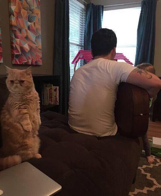 9GAG's tweet photo. when you enter the room and forget what you went there for https://t.co/YurW6L38dc