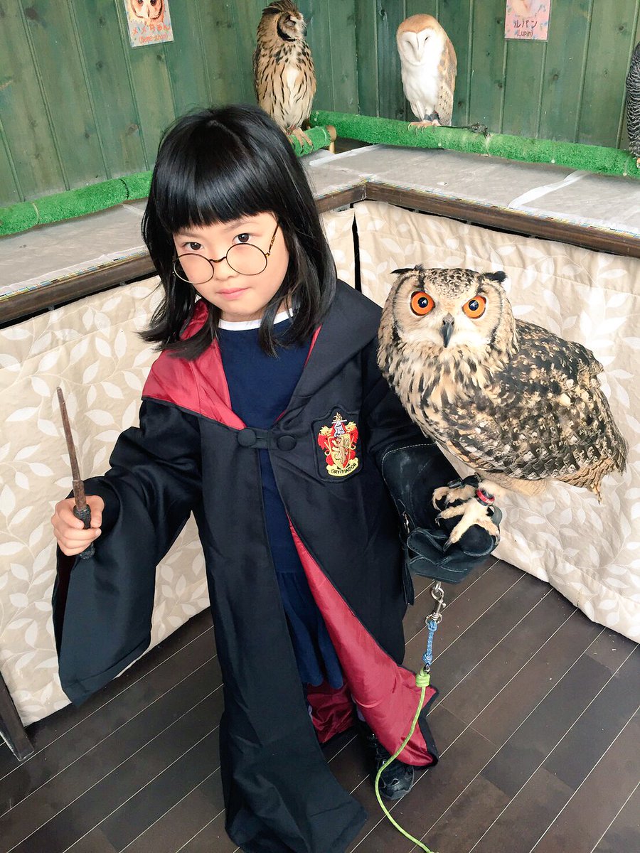 ふくろうマジック Twitter પર ハリーポッターのコスプレ御座います マント メガネ 杖を装着し ふくろうを腕に乗せてハリーポッターになりきろう ふくろうマジック Twitter પર ハリーポッターのコスプレ御座います マント メガネ 杖を装着し ふくろうを腕に乗せてハリーポッターになりきろう