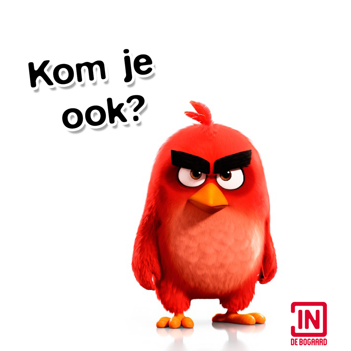 #Angrybirds komt naar In de Bogaard! Jij ook? #film #meetengreet #rijswijk #voorjaar
