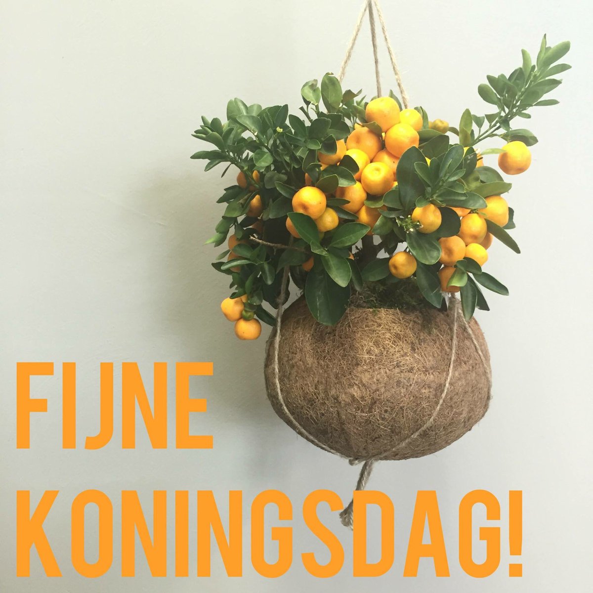 Geniet ervan allemaal! Veel plezier vandaag!