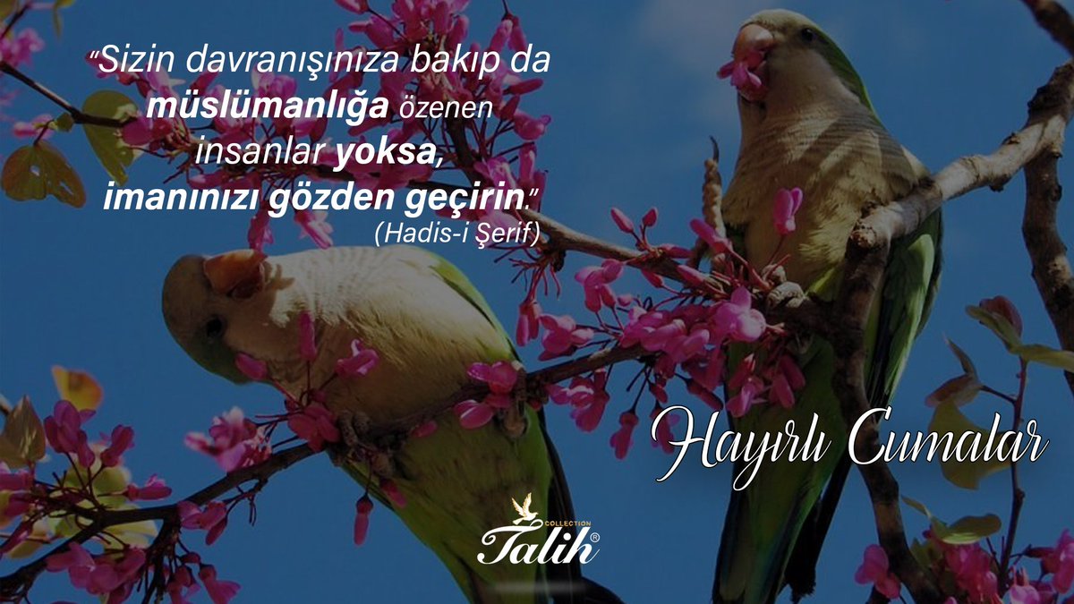 talihpardesu's tweet photo. #Hayırlı #Cumalar https://t.co/0sO4NQ5rZJ