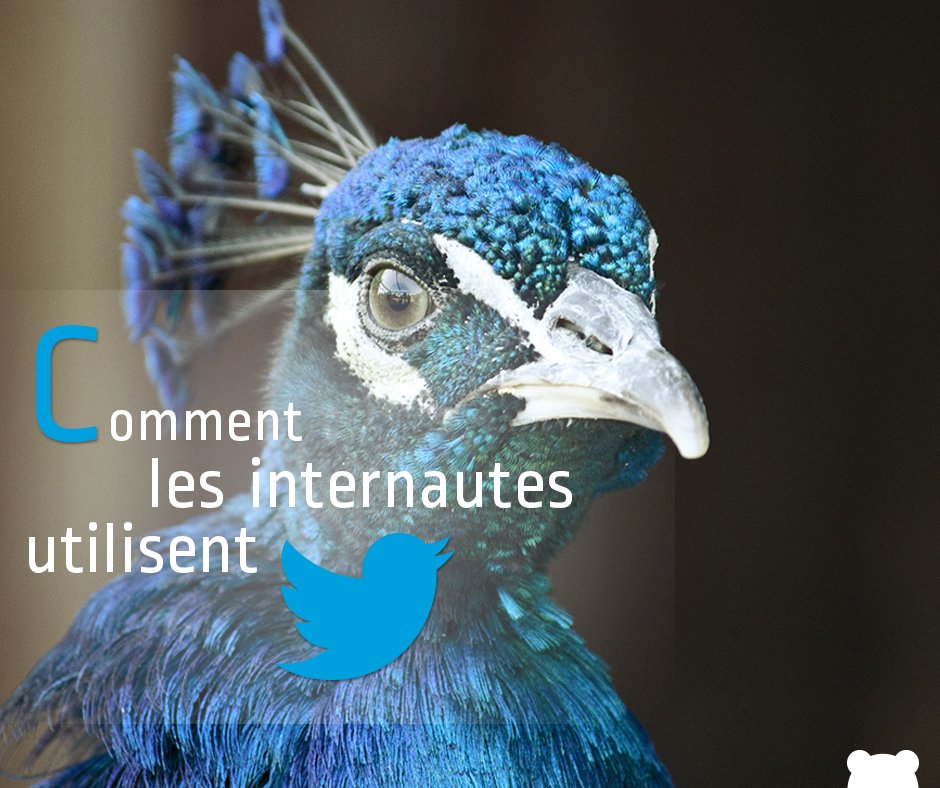Easy_Bear's tweet photo. Comment les internautes utilisent Twitter. #twitter_users #SocialMedia #ContentMarketing https://t.co/PuGIC4FAOK https://t.co/1T1B9IeLs1