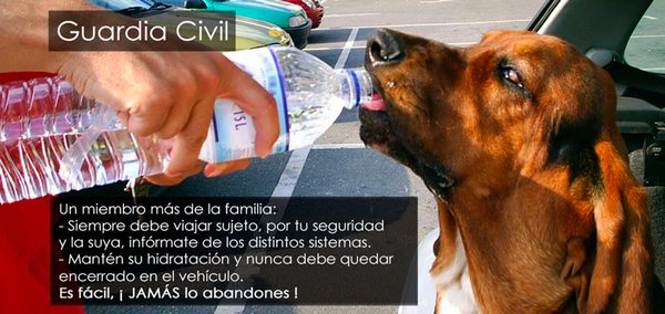 guardiacivil's tweet photo. Llega el calor. Aumentan viajes y abandonos

#Adopta 🐶 y él te devolverá el favor con creces https://t.co/DLBK97zScj