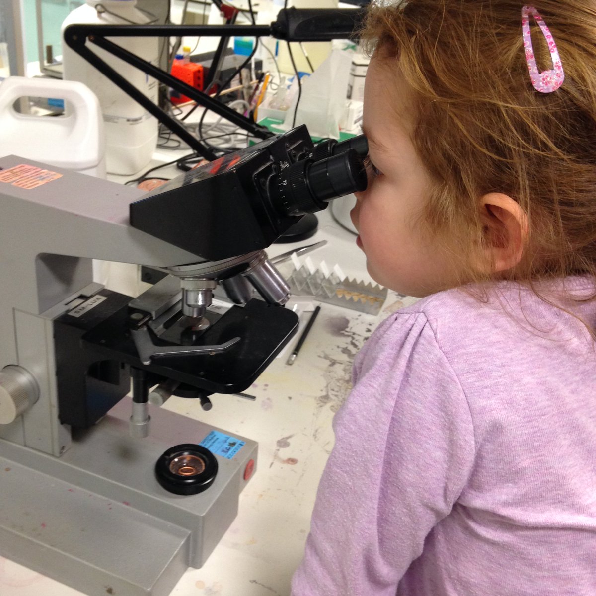 Emily Goodall tweet media