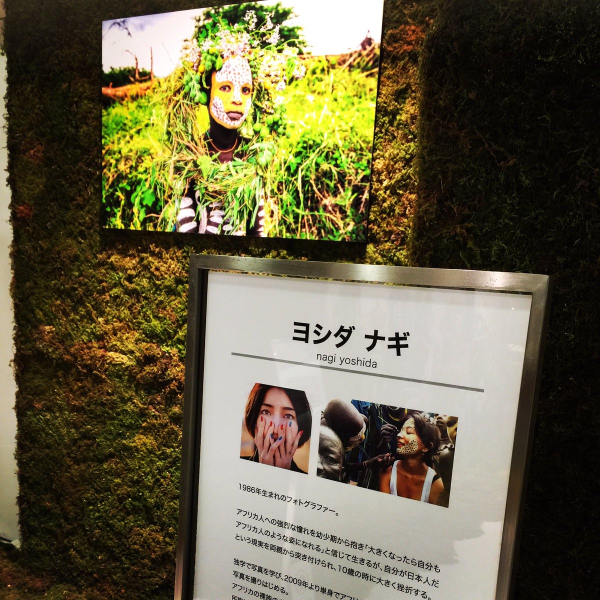 Nogi-chan tweet media