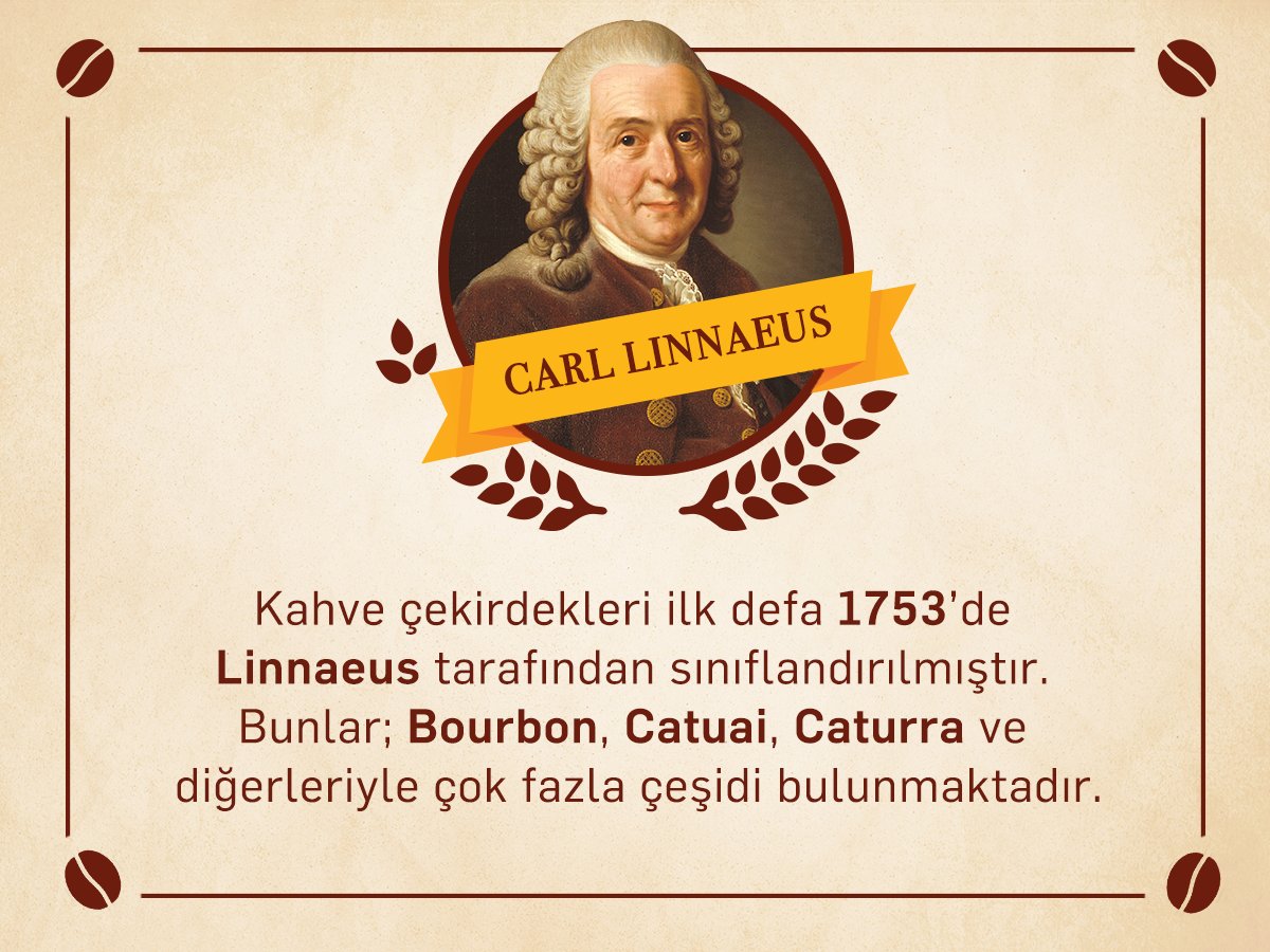 BestCoffee_Shop's tweet photo. Kahve çekirdeklerinin sınıflandırılması, ilk defa 1753 yılında yapılmıştır. #linnaeus #bestcoffeeshop https://t.co/49S7QhBw33