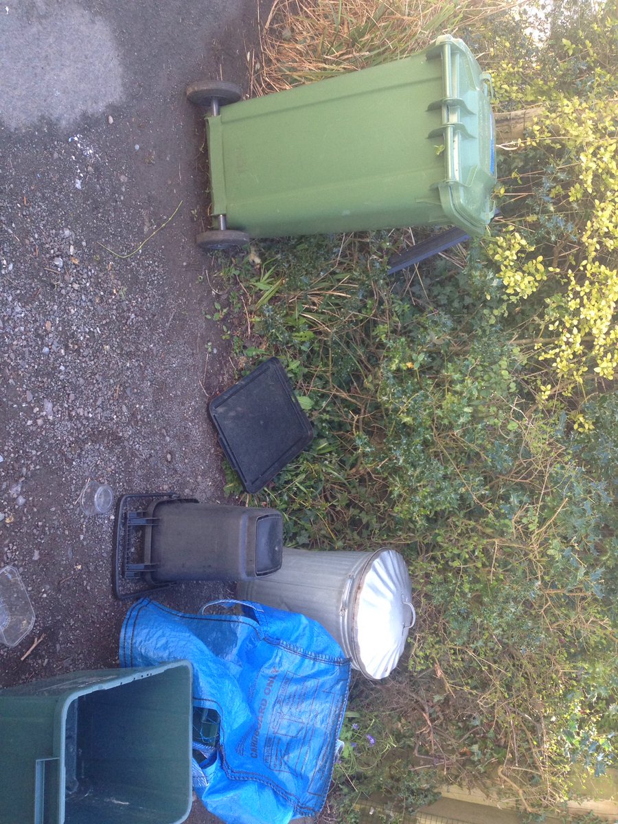KimCrawfurd's tweet photo. Great job @bathnes recycling!! Looks like there's been a small tropical storm on my drive! https://t.co/9YqPd0Q90e