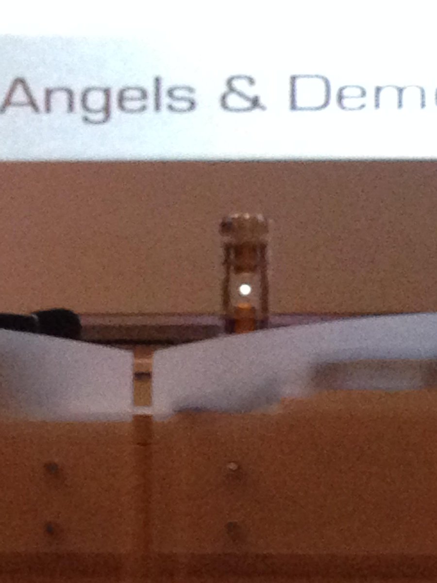 gw_Stina's tweet photo. Oh my God! Antimatter!!! We're all gonna die!!! #iaps2CERN https://t.co/M6jy718det