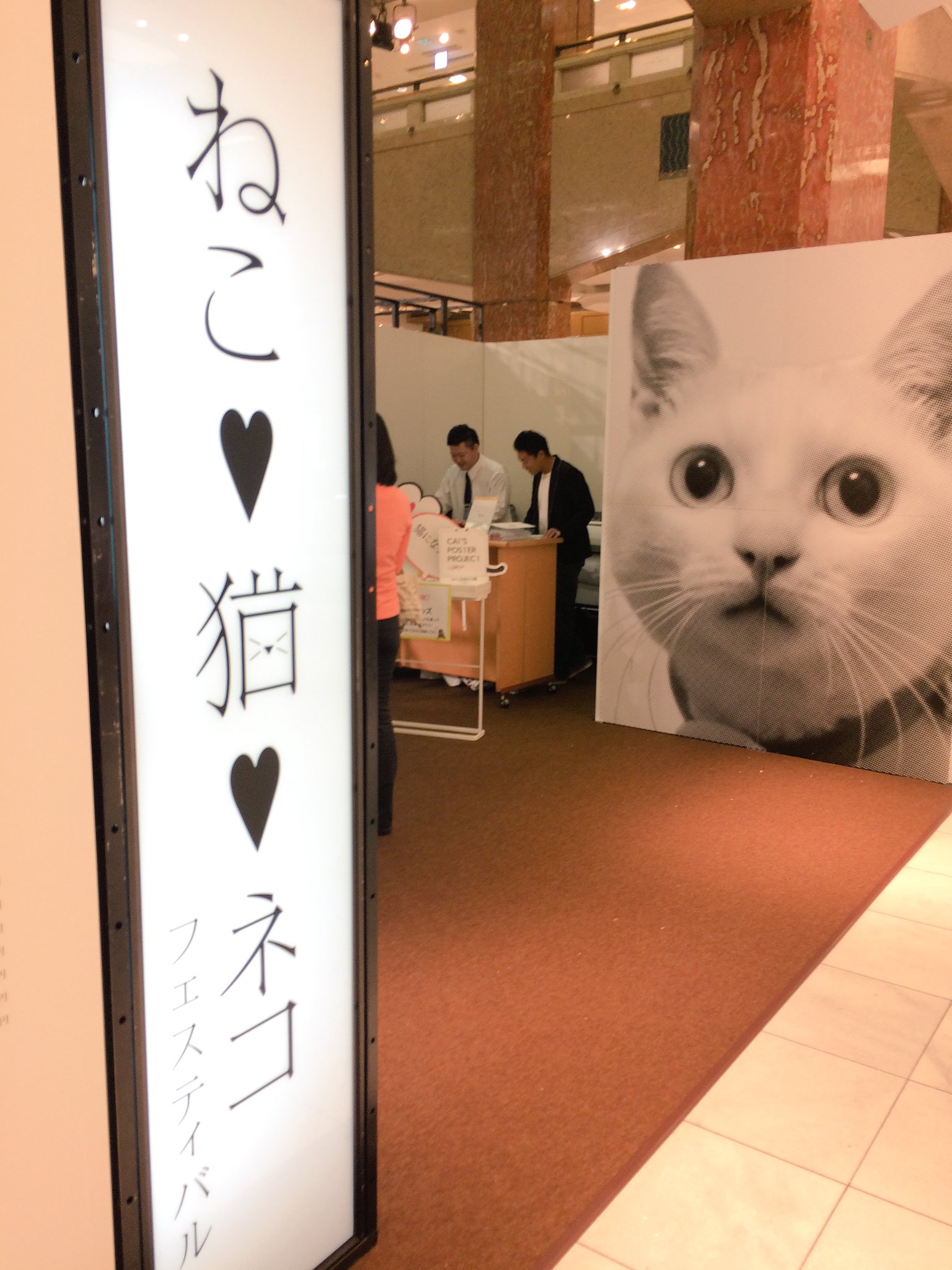 Minoruru 日本橋三越で本日から開催ちうの 猫 ねこ ネコフェスティバル へ行って来ました 画像データを持参すれば1枚1500円でモノクロの超 ビックなポスターも作れたりしますよ T Co G4i8pnax64 Twitter