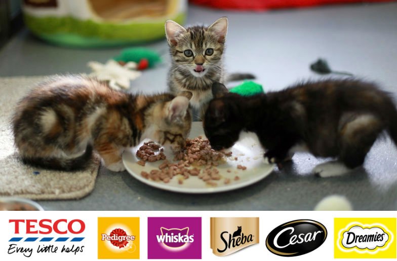 If you buy selected pet products at <a href="/Tesco/">Tesco</a>, Mars Petcare UK will donate to #Battersea bit.ly/1UeIrtr