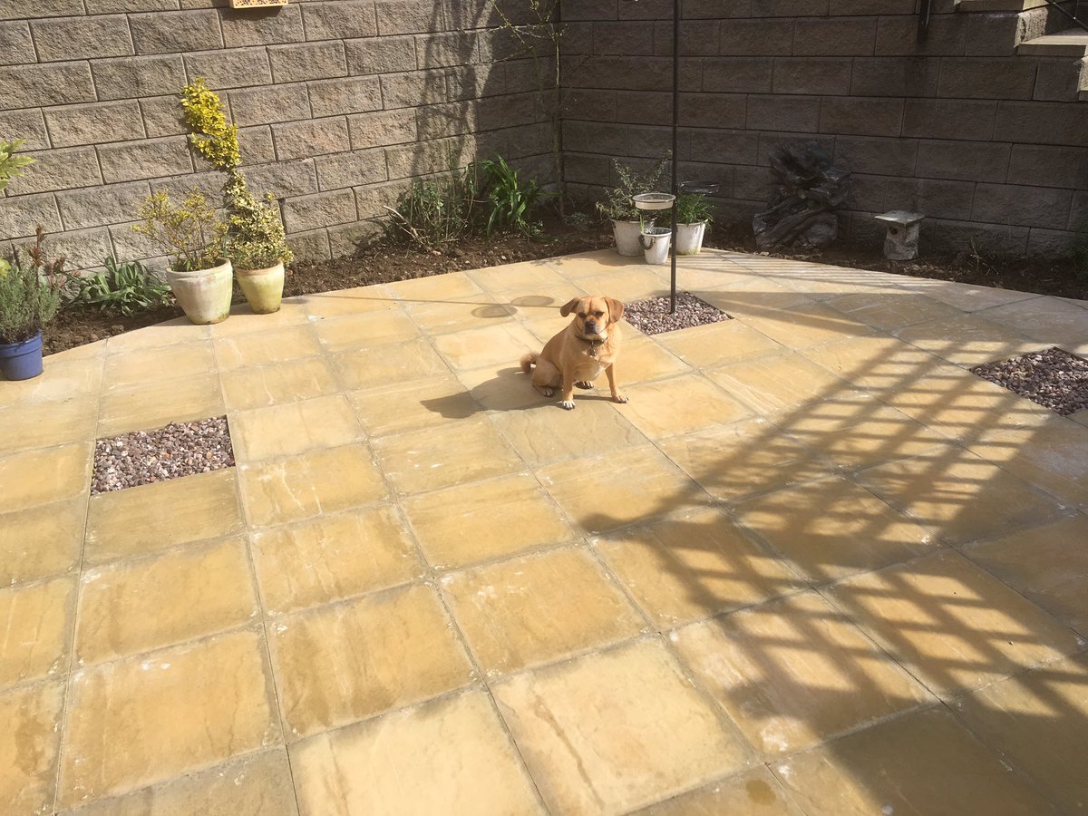 premierrefurb1's tweet photo. This fella is loving the Sun on the new paving. #dog😎 https://t.co/l6XeqDN9Ir