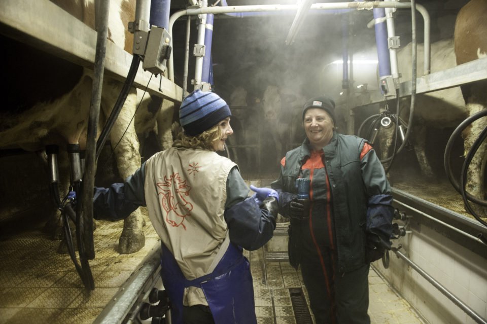 Agri_Gouv's tweet photo. [#Agripicture] 📷 Manon et Aline Burri assurent la traite matinale des vaches montbéliardes > https://t.co/FJ5NT5iq1h https://t.co/Q9aZ4YtQqA