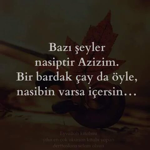 Sermiyan72's tweet image. Nasipse içersin değilse geçersin 
Başka yerde ararsın #NASİBİ