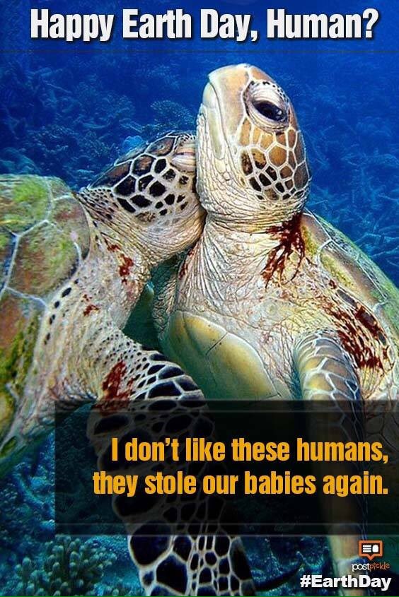 Bebas Hambatan tweet media