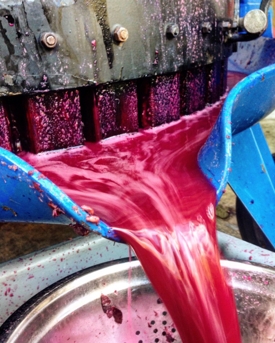 maori_point's tweet photo. Perhaps the best transformation there is....
#nzwine #pinotnoirNZ #nzvintage2016 #centralotago #winemaking https://t.co/Kngaaoir6B