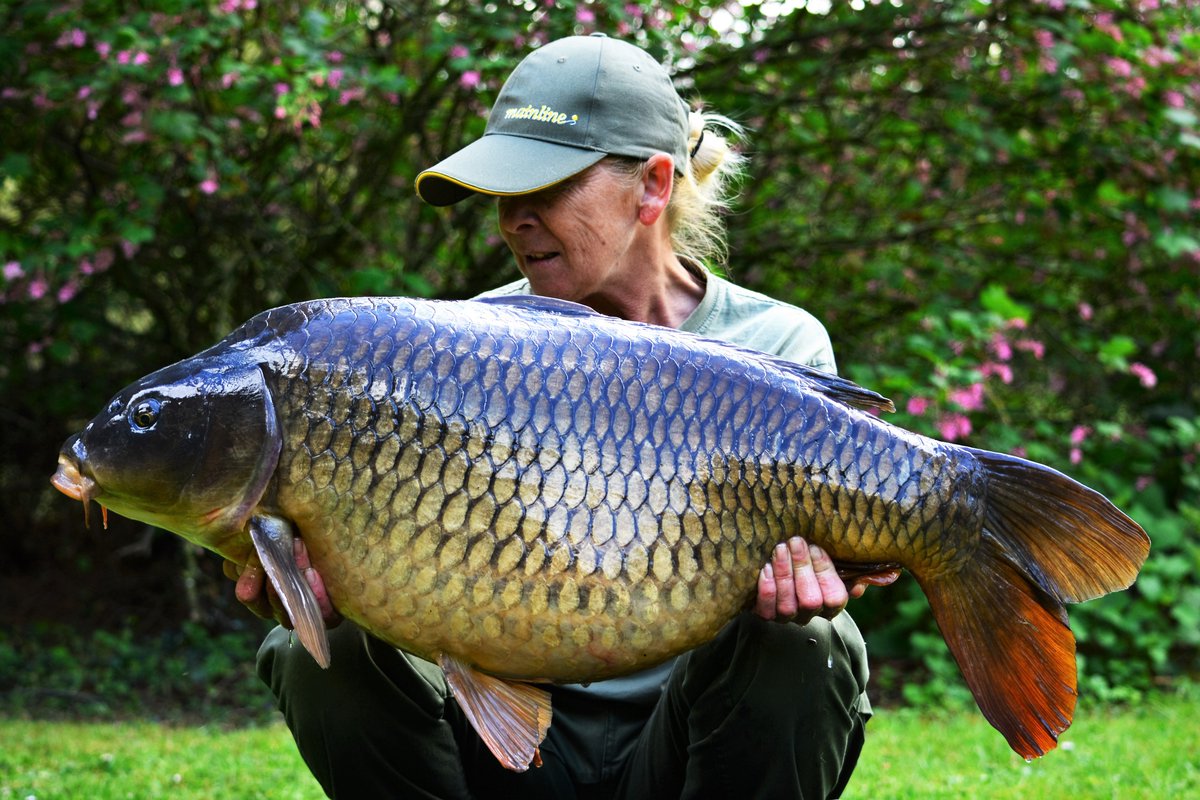 rkleisure's tweet photo. One of the TEN fish that Jo Green caught in her 36 hour session last weekend! #unbelievable #BoatPool #RKLeisure https://t.co/x7Z4NMb3W7