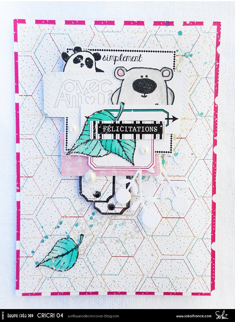 SokaiFrance's tweet image. On continue avec les cartes mimi aujourd&apos;hui #equipecreasokai #scrapbooking #DIY #cricri04 ow.ly/4mNSjZ