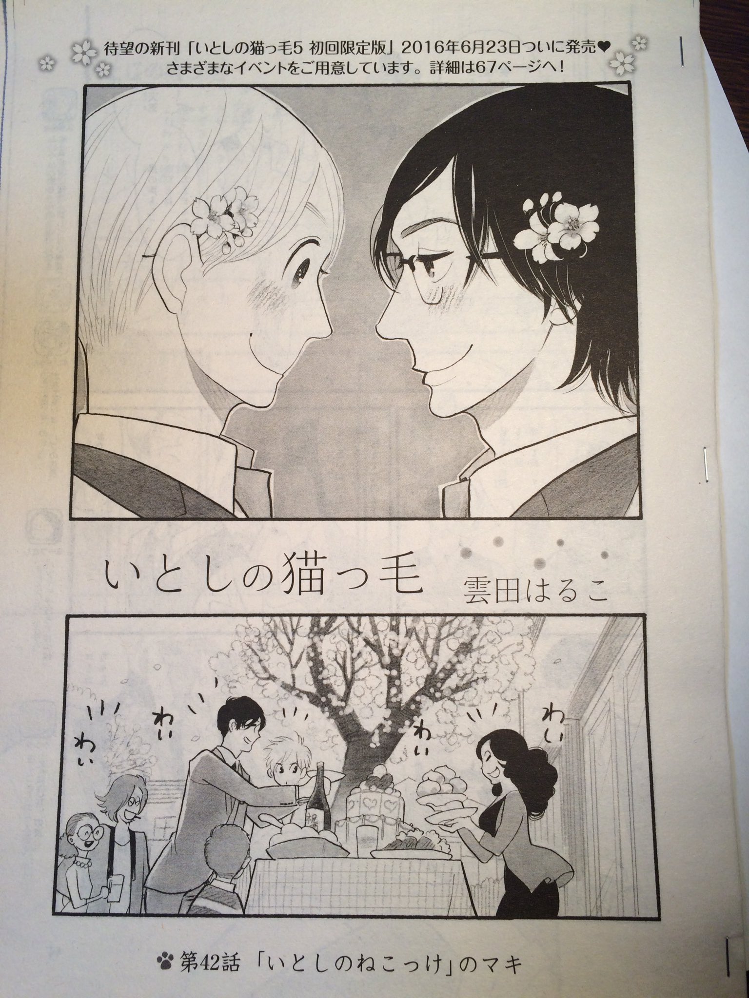 いとしの猫っ毛info 告知 明日4 28 Bl雑誌 Be Boy Gold 6月号発売日です いとしの猫っ毛 42話 掲載されてます マンガの後にはいよいよ明日告知解禁の新情報も掲載されてます ねこっけ好きの皆様 おたのしみに T Co Msmp3iroyt Twitter
