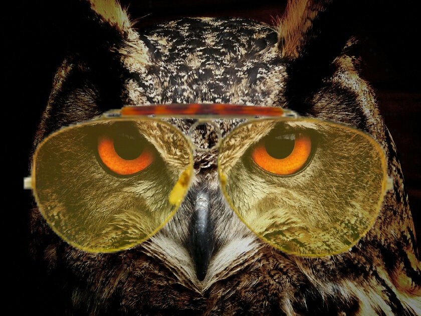 int_startups's tweet photo. #COOL #OWL recommends #InternalStartupCookbook. #WednesdayWisdom #Intrapreneurship https://t.co/iy2vtpMsbZ