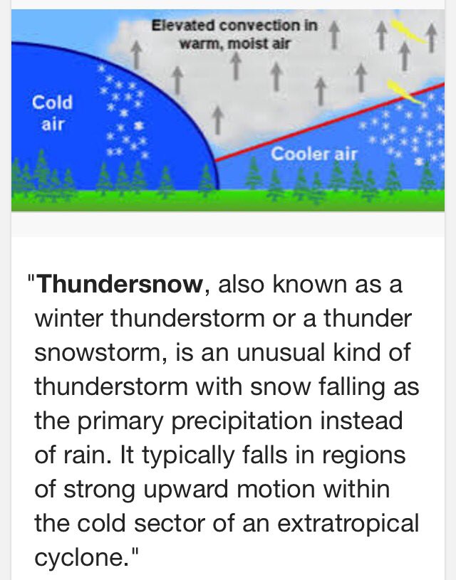 teramc's tweet photo. And I kinda thought @BWalshNL made this up. #oops #mybad #snowexpert #nlwx #thundersnow https://t.co/58fA8whB39